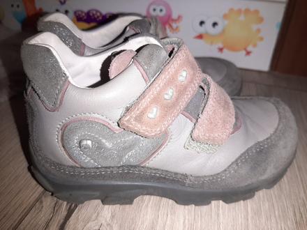 Celokožené elefanten, elefanten,24