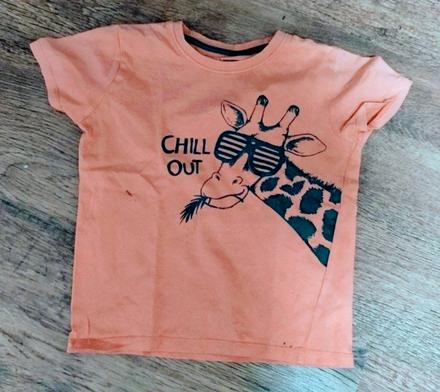 Tričko žirafa, 122