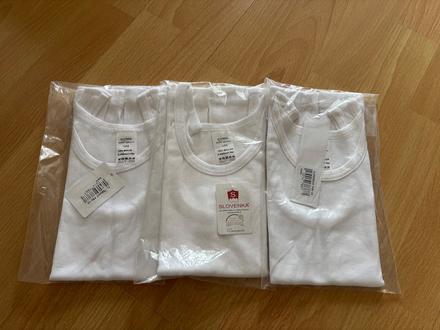 Tielká slovenka, slovenka,122