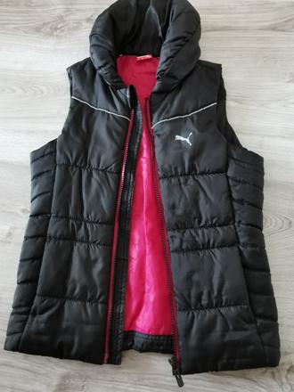 Puma vesta, puma,128