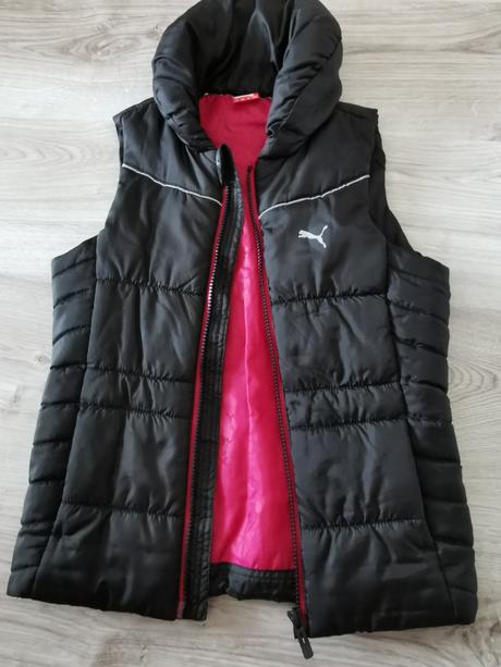 Puma vesta, puma,128
