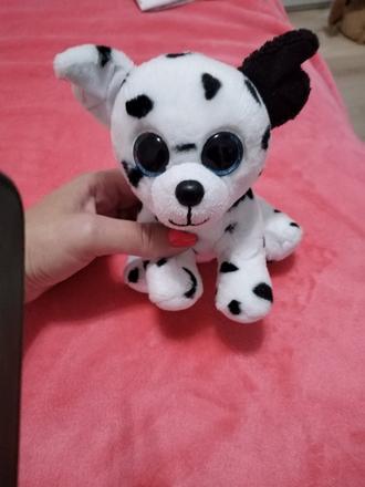 Malý dalmatínko na cesty, do škôlky vhodný, 