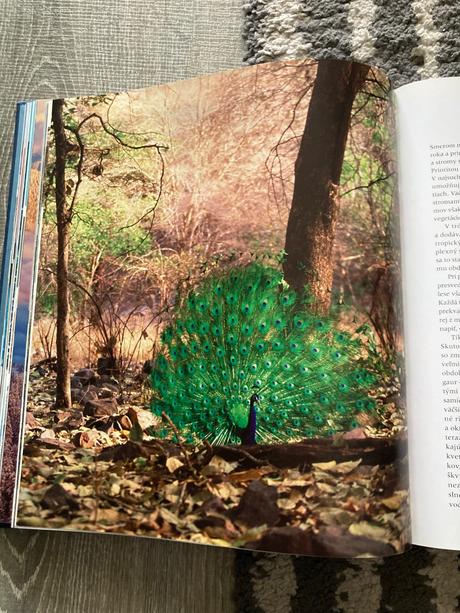 Planéta zem alastair fothergill (2007), 