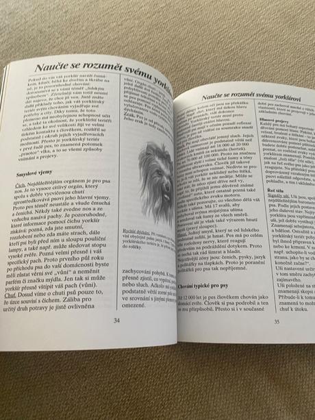 Yorkšírský teriér jak o něj správně pečovat a rozu, 