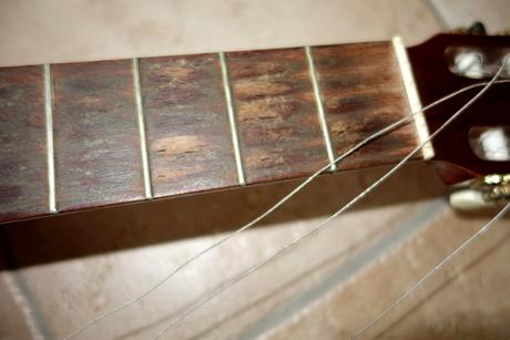 Darujem - utrhnutá kobylka, 