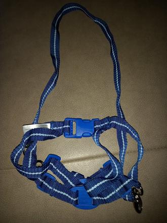 Voditko na dieta, canpol babies