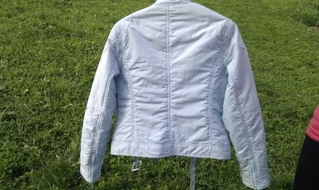 Bledomodrá vetrovka, m