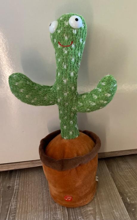 Tancujú,spievajúci kaktus, 