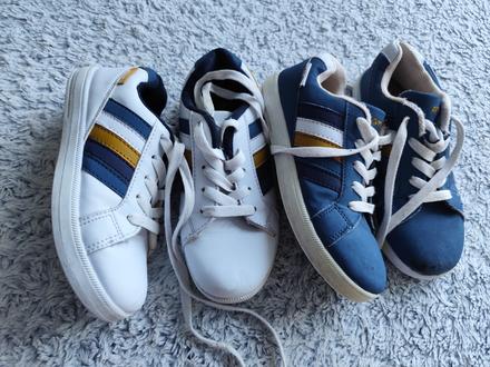 Botasky 31, authority,31