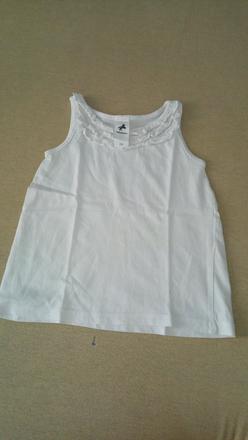 Tielko, palomino,110