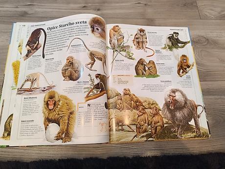 Detská obrázková encyklopédia zvieratá,