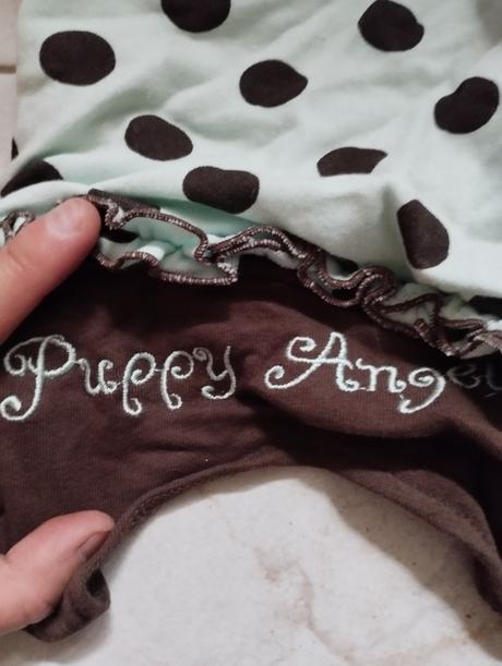 Oblečenie pre psíka, 