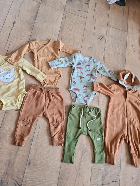 Lindex zajac,hriby, 62