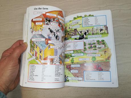 Usborne french dictionary for beginners wi19, 