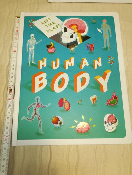 Discovery lift the flap space nsu19,