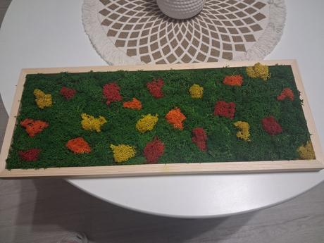 Machový obraz lúka, 