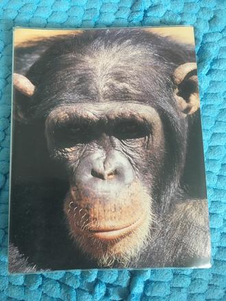 Malý fotoalbum 9x13 na 36-38 fotiek,