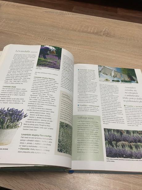 Velká kniha bylinek bylinky, 