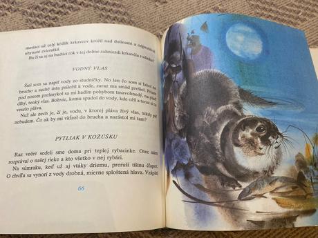 Stará kniha kuchta ladislav biely zvonček 1980,