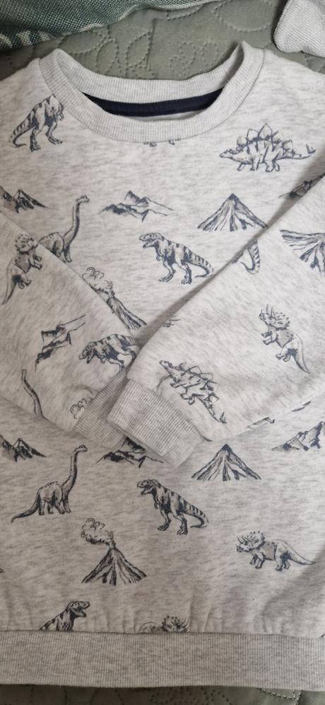 Mikina dino, f&f,116