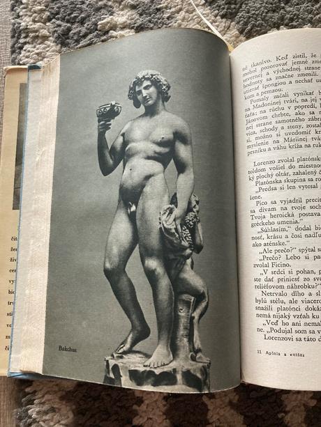 Agónia a extáza irving stone (1963),