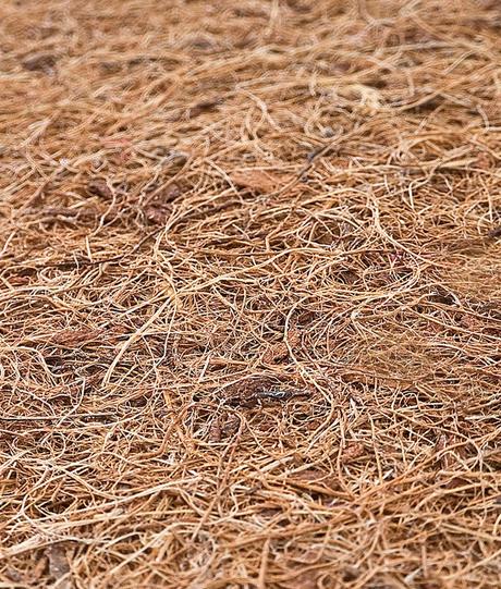 Sensillo matrac kokos-molitán hr.9cm, 140x70cm, šírka (cm): 70,dĺžka (cm): 140