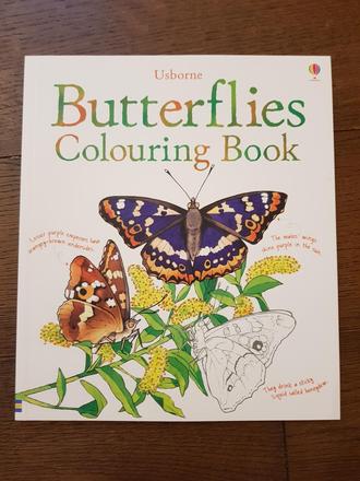 Usborne butterflies,