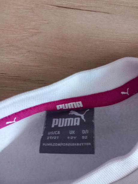 Suprava puma, puma,92