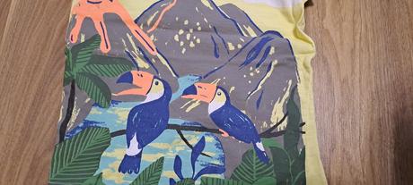 Farebné tričká papagáje, veľ. 110-116, pepco,110