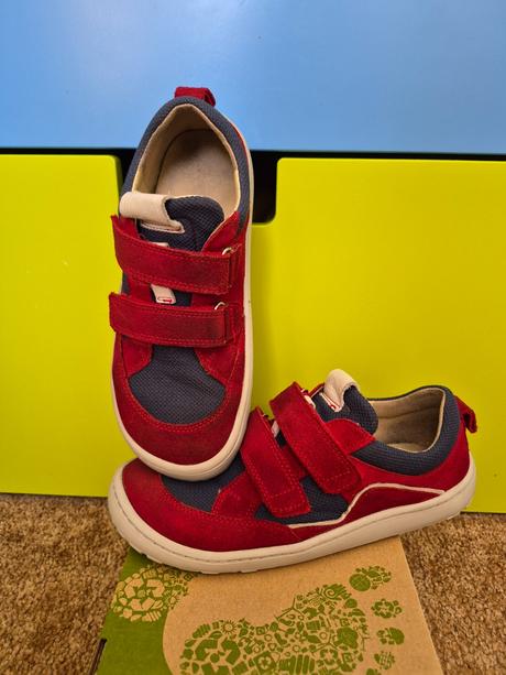 Froddobaze 35, froddo,35