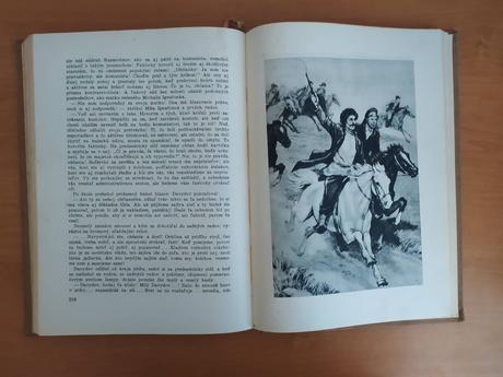 Rozoraná celina (1954), 