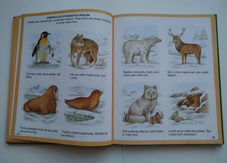 Obrázky z prírody, 