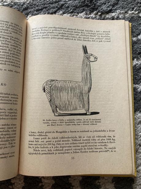 Říše inků (1963), 