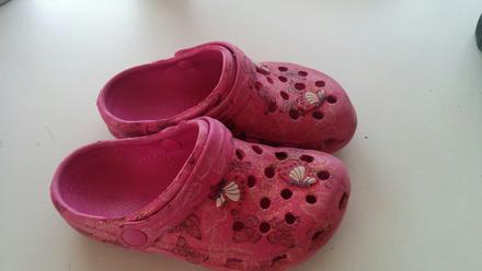 Motylikove trblietave, 27