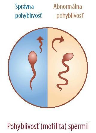 Spermiogram: Pohyblivosť (motilita) spermií