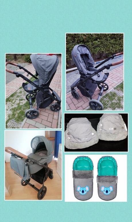 Kočík roan bloom, roan,roan bloom