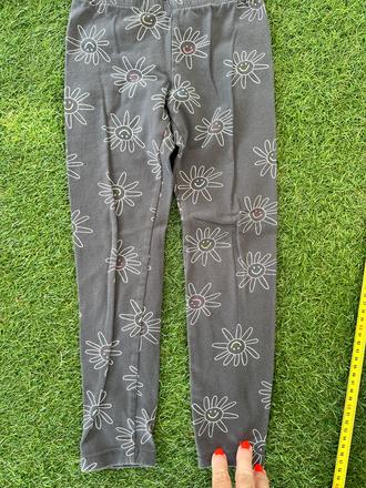 Ovs legíny, ovs,116