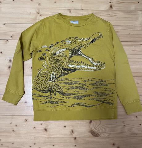 Chlapčenske zara mikiny 164, zara,164