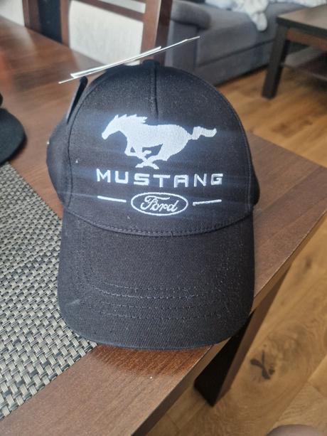 Siltovka mustang, house