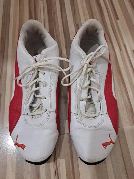 Botasky, puma,38