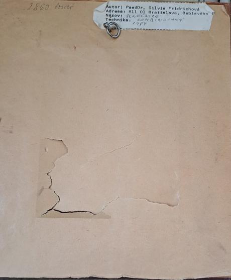 Obraz silvia fridrichovej r.1984, 