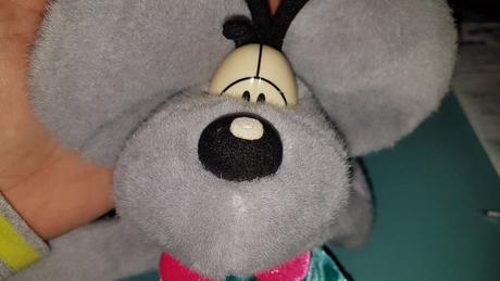 Väčší diddl sivý, 