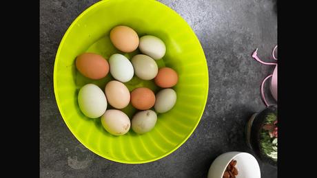 Domace slepacie vajicka senec, 