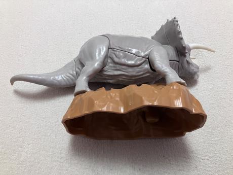 Triceratops kinder, 