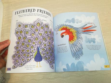 World explorer maze book nsu21,