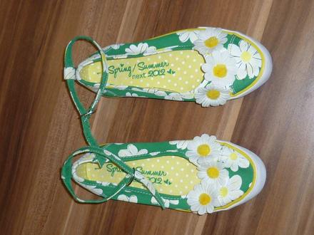 Margaretkové, next,32