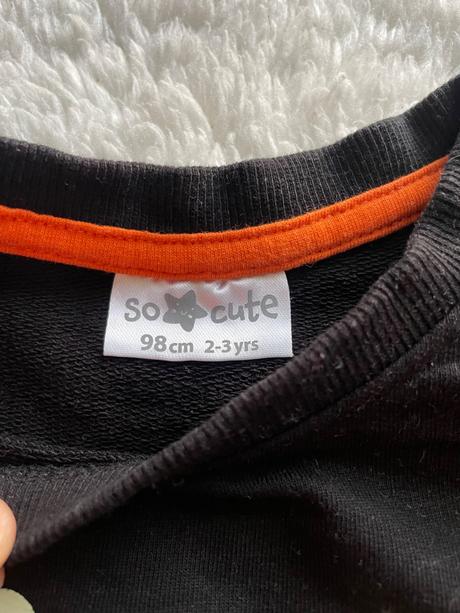 Haloweenske tricka, 104