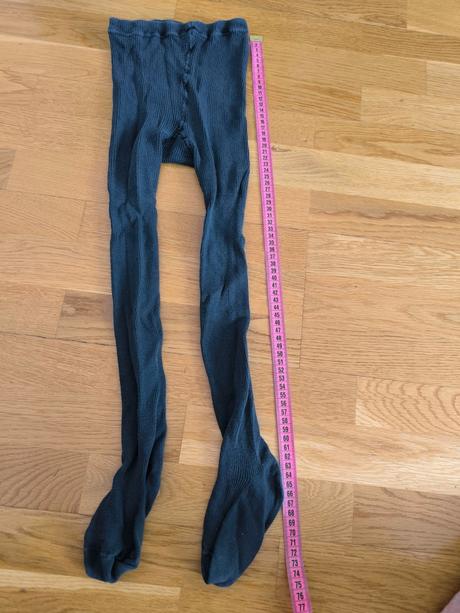 Pančuchy pleso, 110