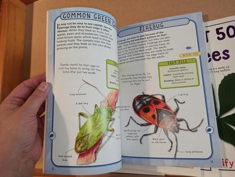 Spot 50 species sada,