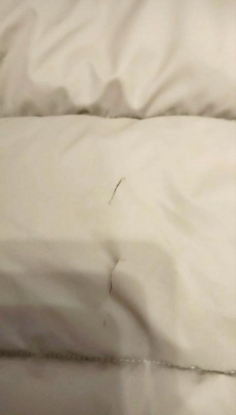 Bunda burberry london, burberry,m